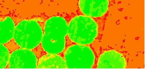 Normalized Difference Vegetation Index