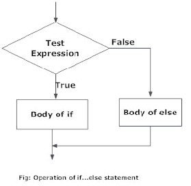 Python if..else Flowchart