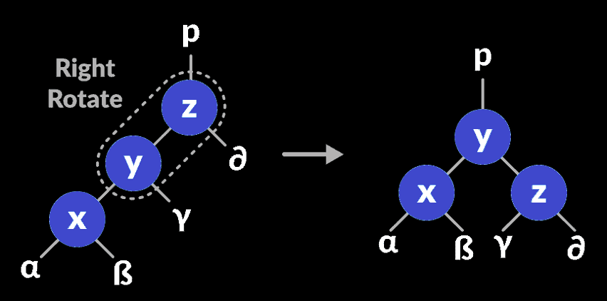 avl-tree-leftright-rotate-2